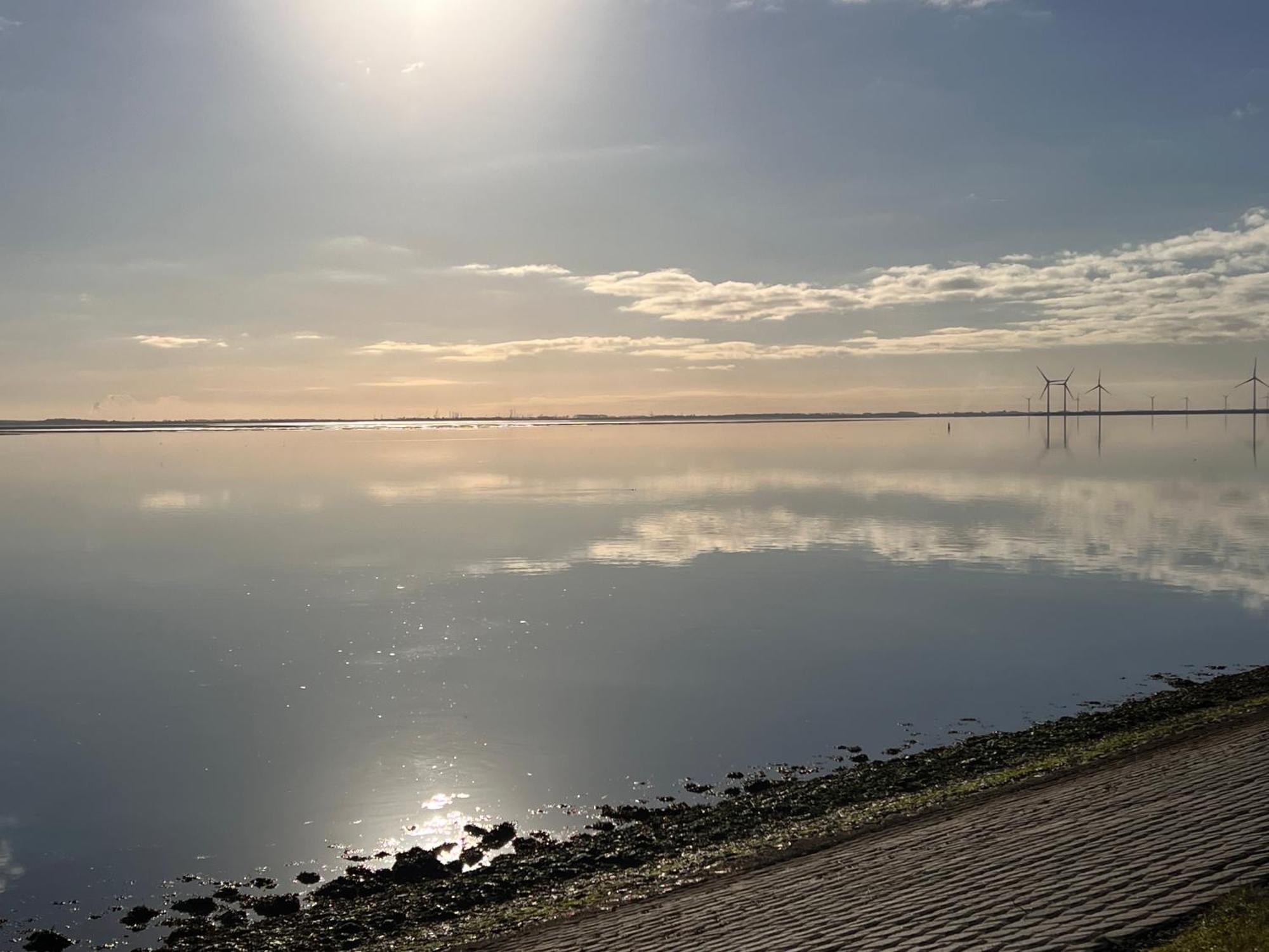 Genieten Aan De Zeeuwse Kust Bed & Breakfast Burgh-Haamstede Eksteriør bilde